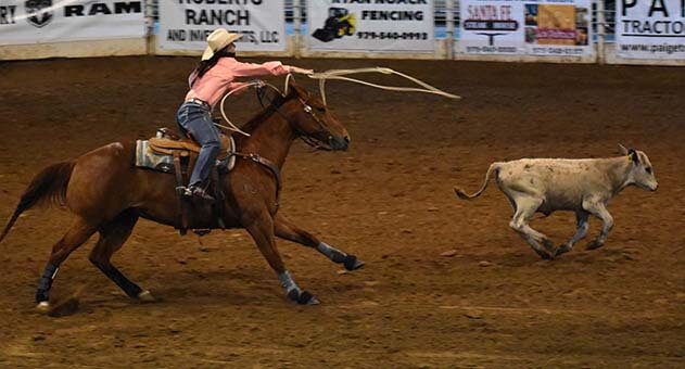 calf roping sheriffs posse rodeo giddings tx calf roping sheriffs posse rodeo giddings tx
